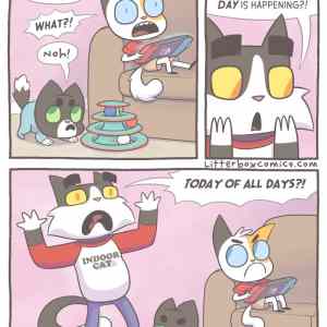 Obrázek 'ach&nbsp;nee&nbsp;zase'