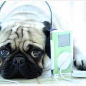 Obrázek 'adw23&nbsp;ipod'