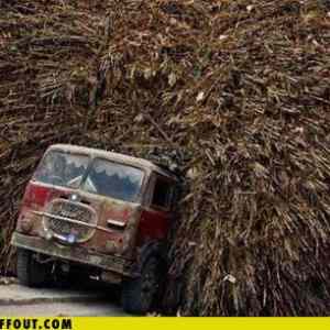 Obrázek 'afro truck'