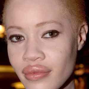 Obrázek 'albin cernoska -diandra forrest '