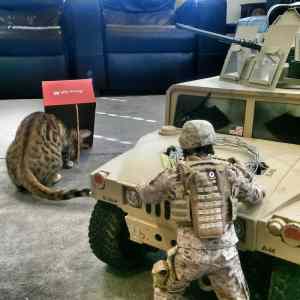 Obrázek 'ale&nbsp;prd'