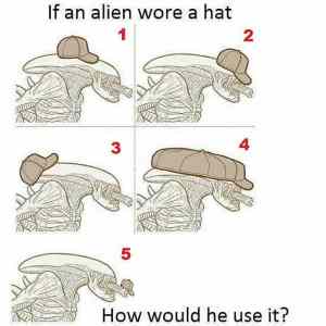 Obrázek 'alien wore'