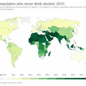 Obrázek 'alkohol je pro mentalne postizene'