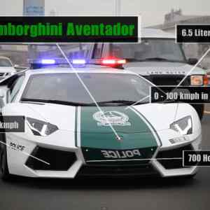 Obrázek 'all cops are beasts'