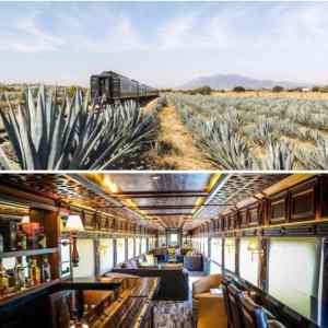 Obrázek 'all&nbsp;you&nbsp;can&nbsp;drink&nbsp;tequila&nbsp;train'