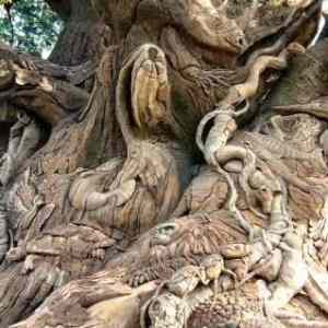 Obrázek 'amazing-wood-carving-picture'