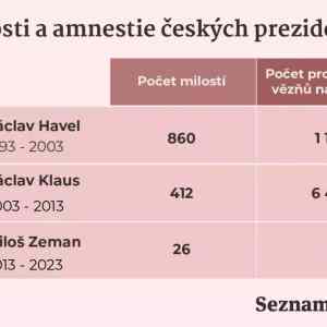 Obrázek 'amnestie srovnani'
