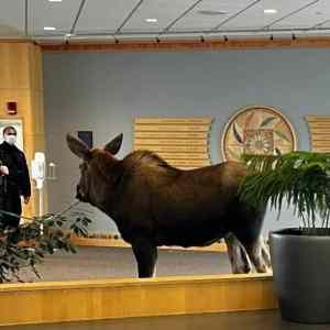 Obrázek 'an&nbsp;unexpected&nbsp;visit'