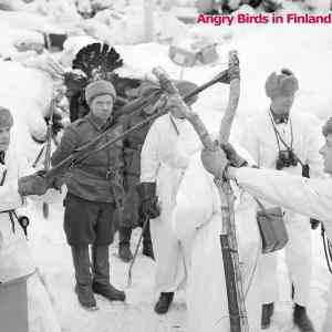 Obrázek 'angry birds in finland'