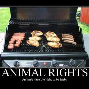 Obrázek 'animal rights'