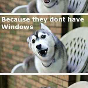 Obrázek 'apple&nbsp;store'