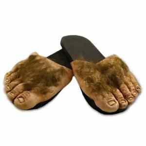 Obrázek 'archaeo flip flops'