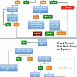 Obrázek 'argument brain'