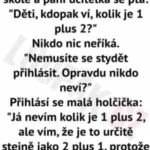 Obrázek 'asiSlecnaRoumenova'