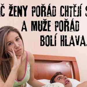 Obrázek 'asi boxing day'