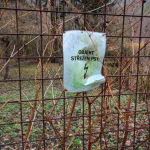 Obrázek 'asi&nbsp;elektricky&nbsp;pes'