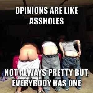 Obrázek 'assholes&nbsp;opinions'