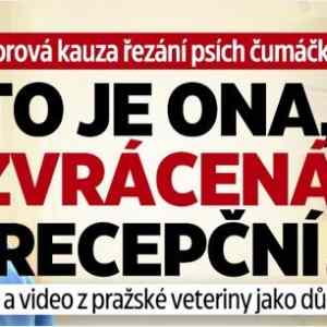 Obrázek 'at ji zna cely rouming'
