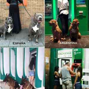 Obrázek 'atm&nbsp;security'