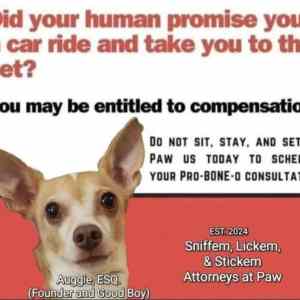 Obrázek 'attorney at paw'