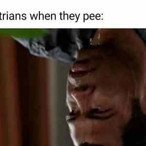 Obrázek 'australia when pee'