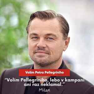 Obrázek 'autenticky volic p'