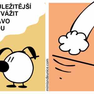 Obrázek 'autorska prava'