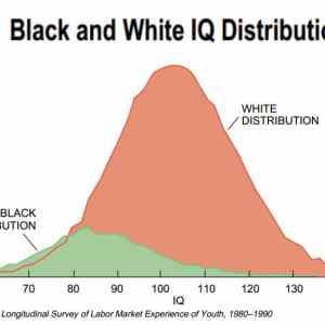 Obrázek 'b&nbsp;and&nbsp;w2'