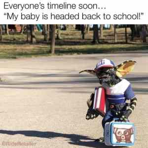 Obrázek 'back to school FB'