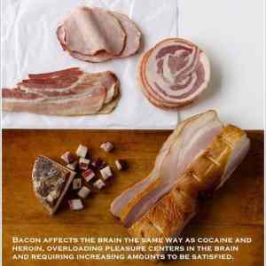 Obrázek 'bacon is drug'