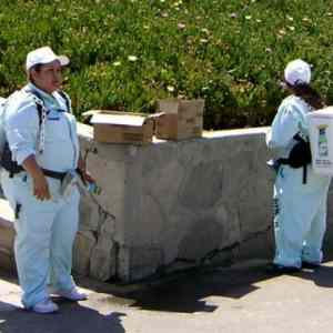 Obrázek 'bag'