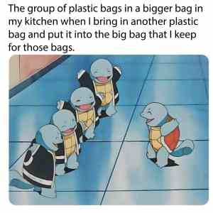 Obrázek 'bags within bag'