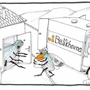 Obrázek 'balikhovna'