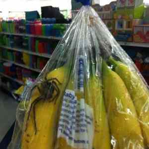Obrázek 'bannanas'