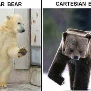 Obrázek 'bears'