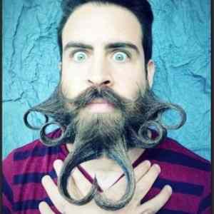 Obrázek 'beat this beardists'