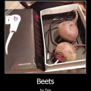 Obrázek 'beets8765'