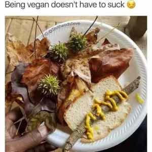 Obrázek 'being vegan'