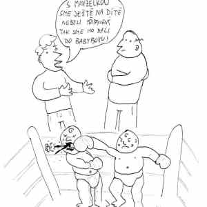Obrázek 'bejbiboks'