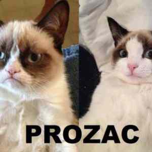 Obrázek 'better&nbsp;than&nbsp;snickers'