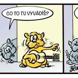 Obrázek 'bez diskuse'