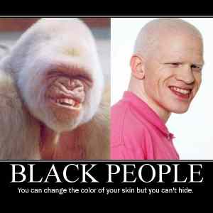 Obrázek 'bible says' Obrázek 'bible says'