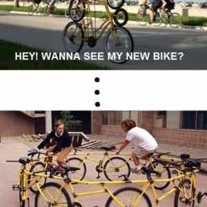 Obrázek 'bike new dawg'