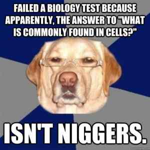 Obrázek 'biology test'
