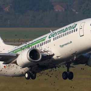 Obrázek 'birds plane'