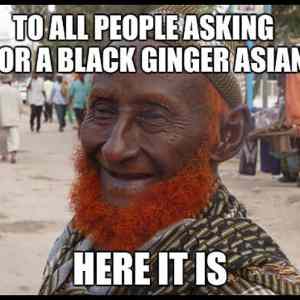Obrázek 'black ginger asian'