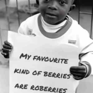 Obrázek 'blackberries'