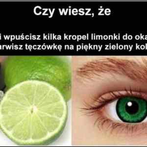 Obrázek 'blasty czy-wiesz-ze-jezeli-wpuscisz-kilka 2016-11-09 13-57-36'