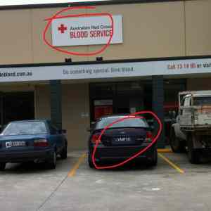 Obrázek 'blood&nbsp;service'