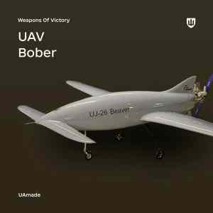 Obrázek 'bober'
